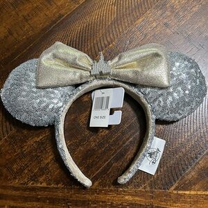 Disney Cinderella Castle Ears!